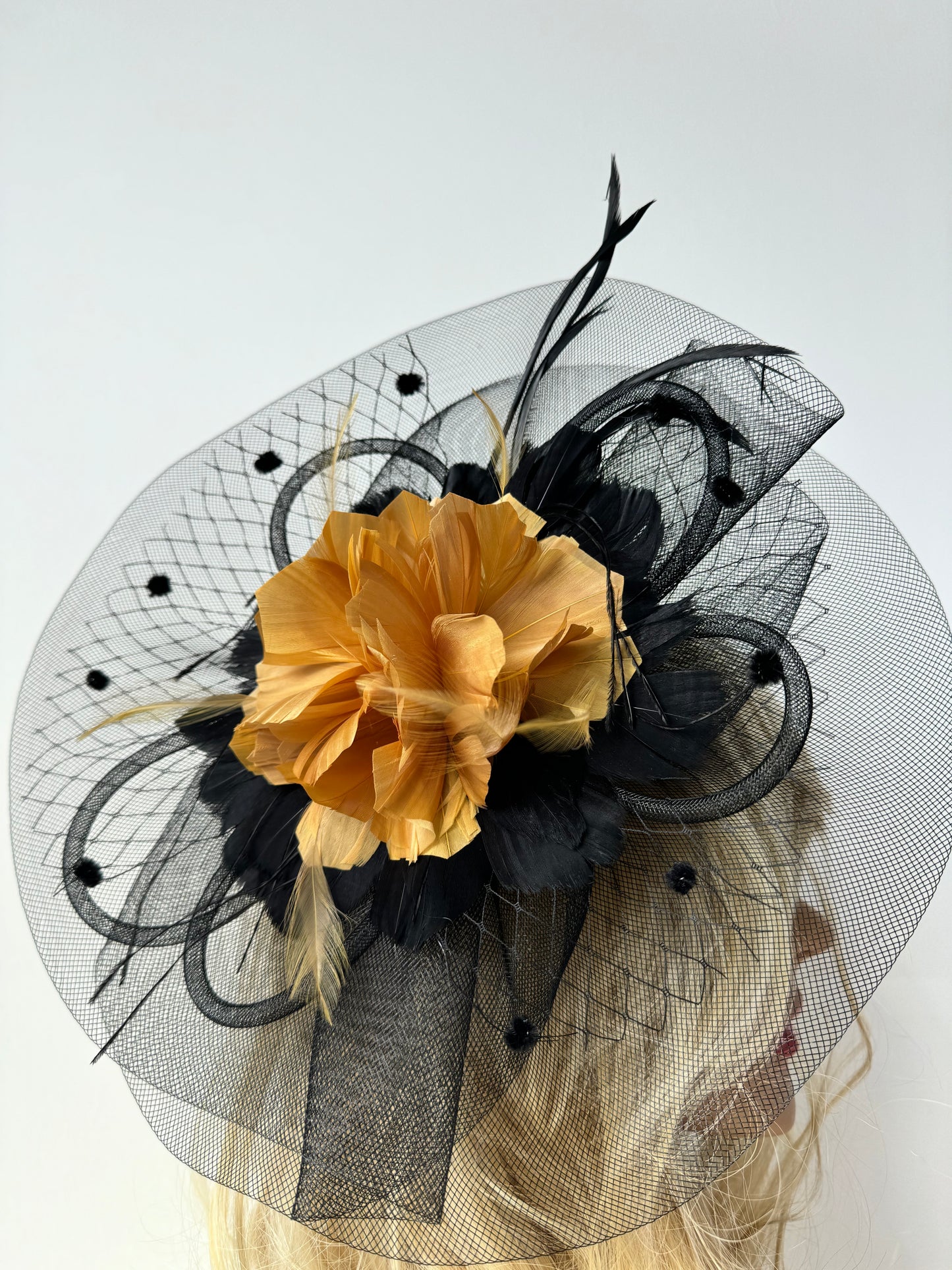 F0031 Customize