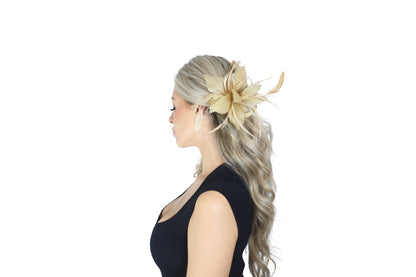 F0014/F0018 Gold