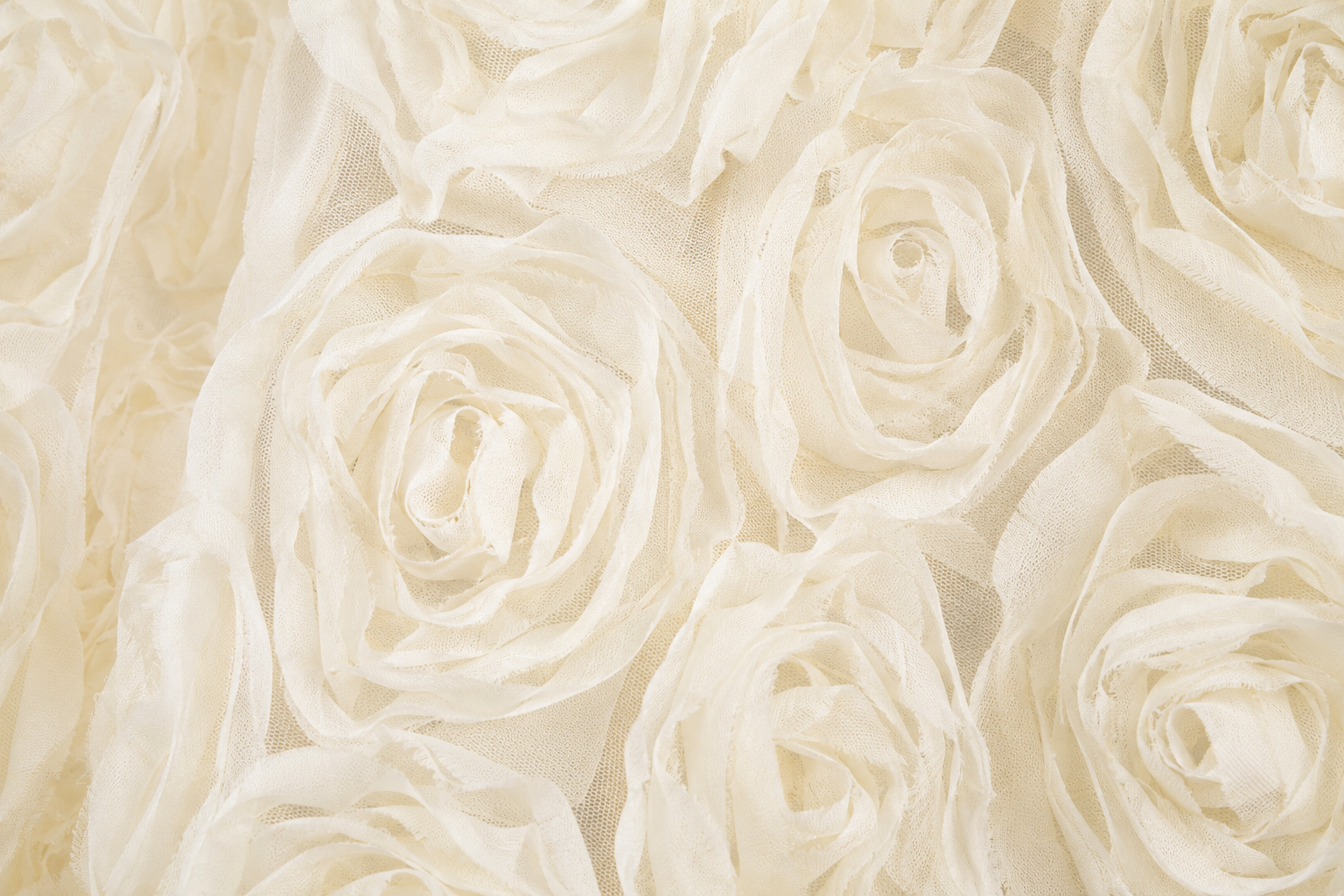 SK002 Ivory