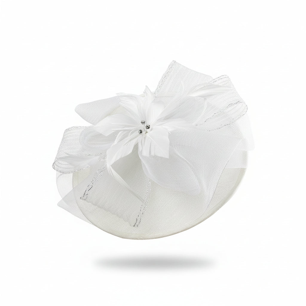 F0052(Clip & Headband)