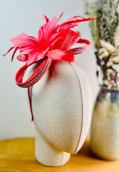 F0013A Coral