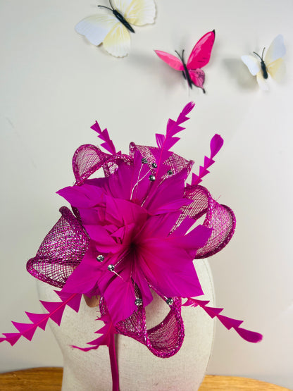 F0041 ZY0524 Fuchsia Set