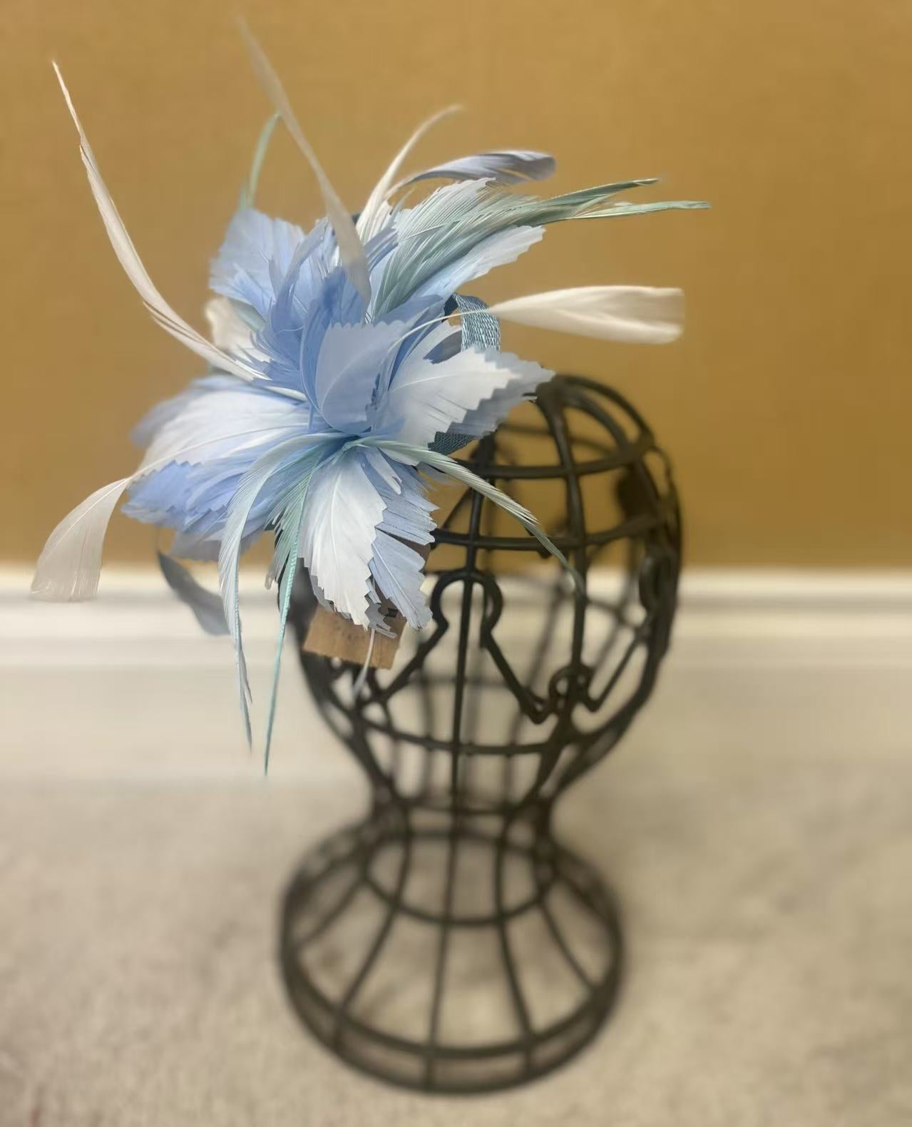 F0014/F0018 Cuatomize