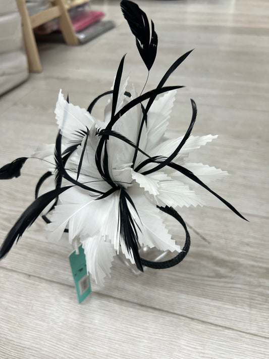F0018A Black in White