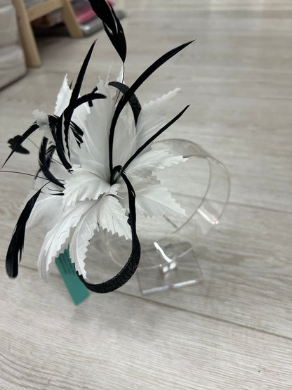 F0018A Black in White