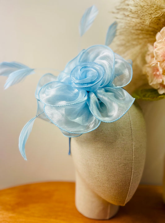 F0025 Light Blue