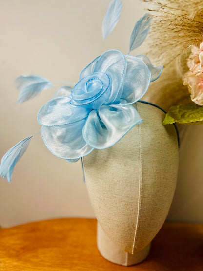 F0025 Light Blue