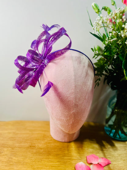 FN01018 Purple