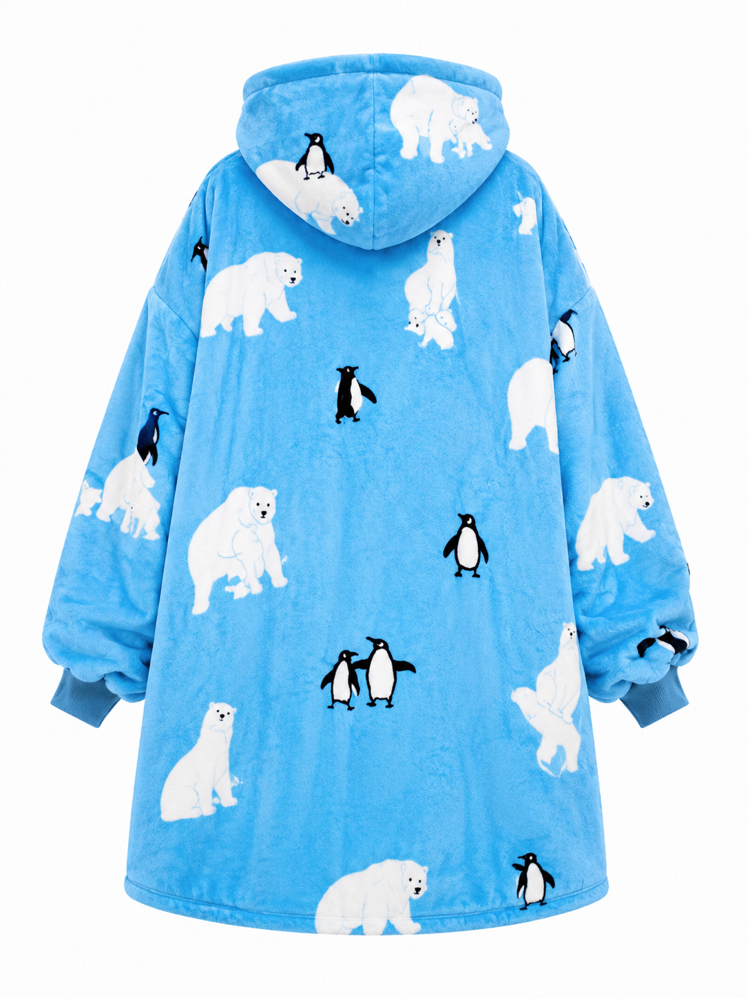 Adult Polar Bear