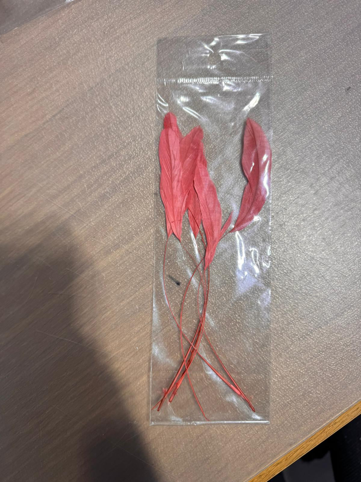 WhatsApp Image 2024-02-15 at 12.23.00 (1).jpeg